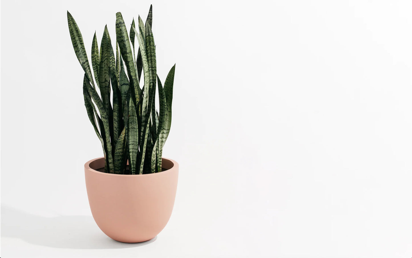 Round Planter