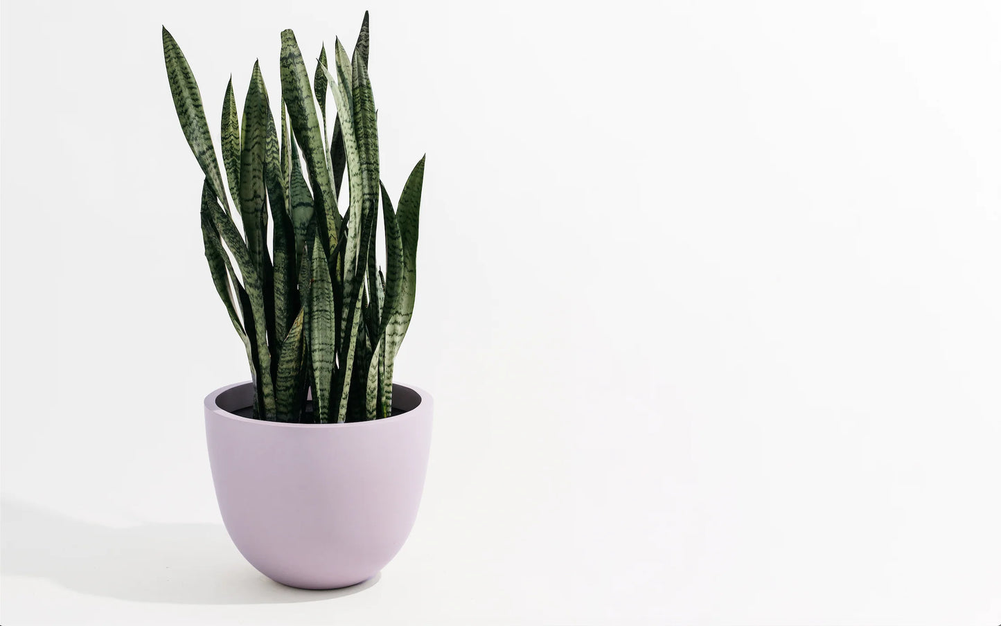 Round Planter