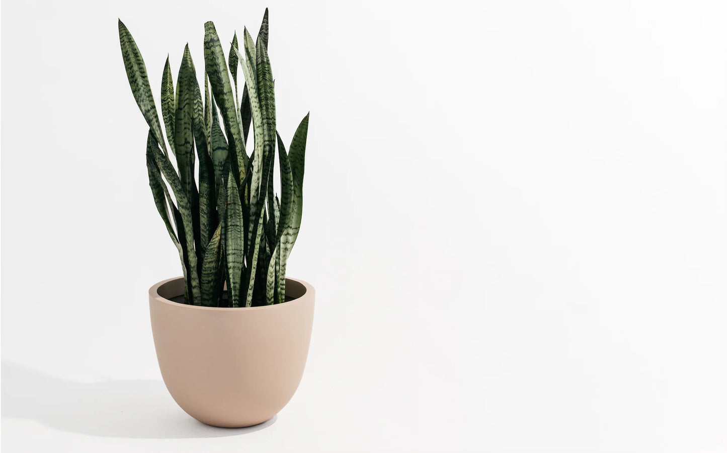 Round Planter
