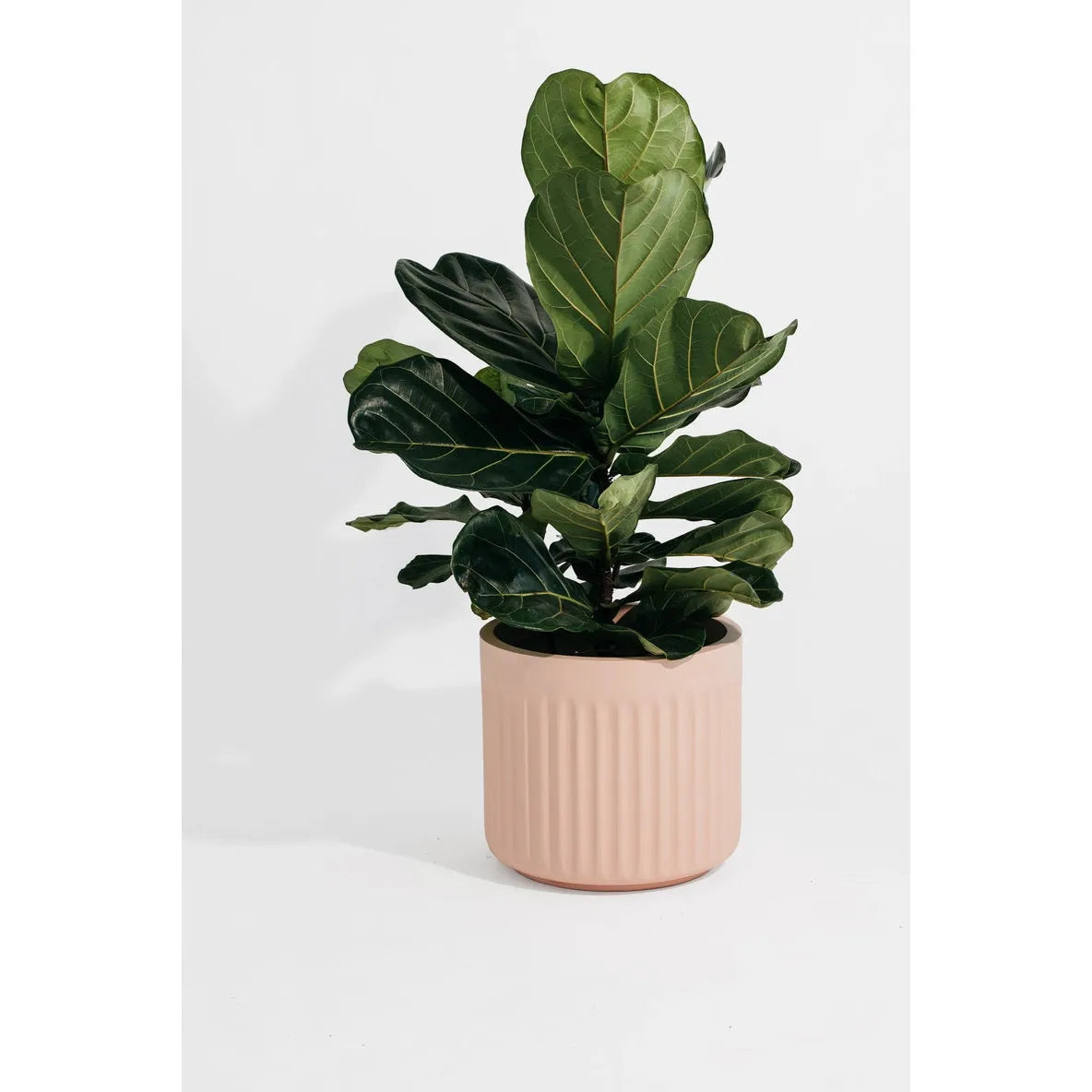 Arc Cylinder Pot